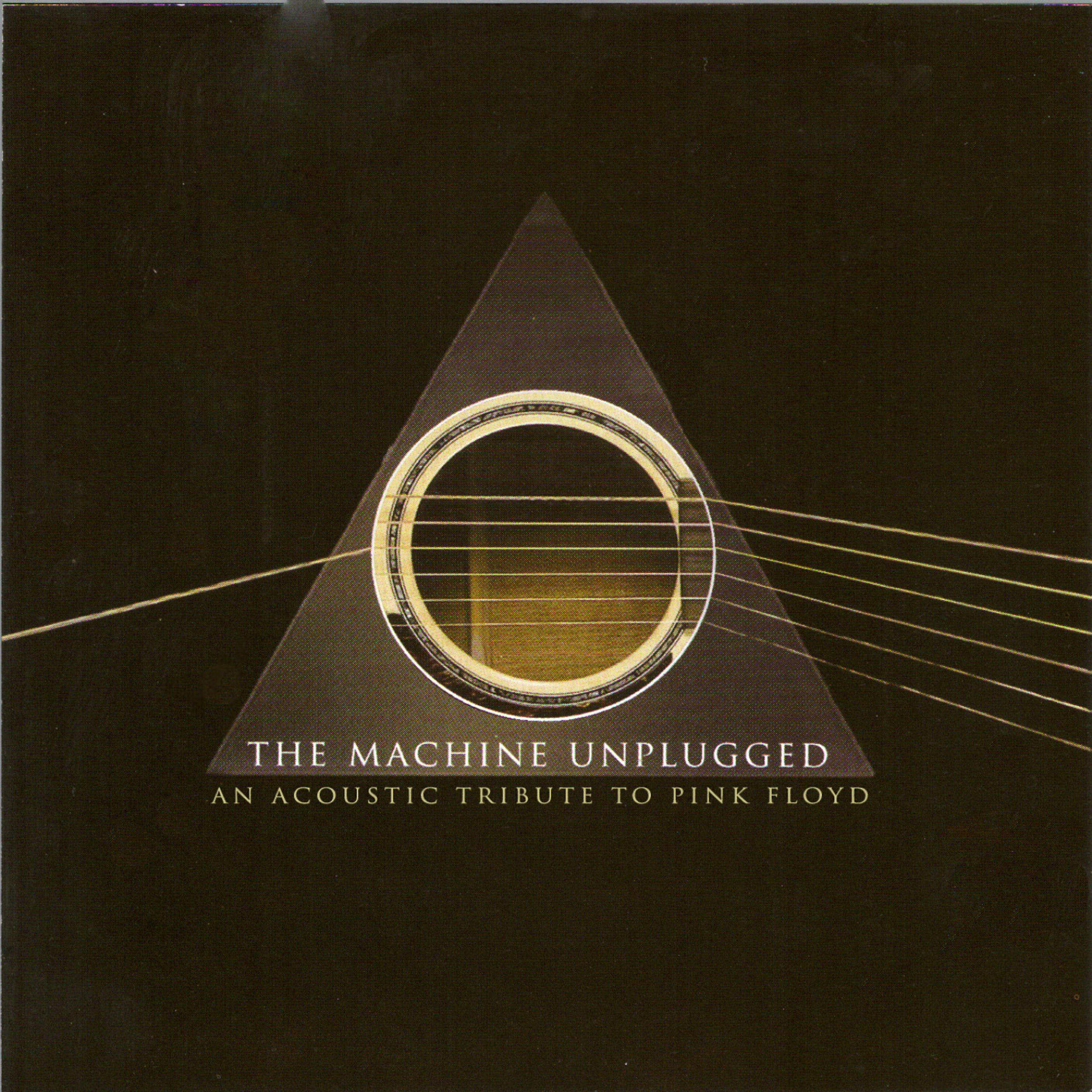 Релиз The Machine Unplugged