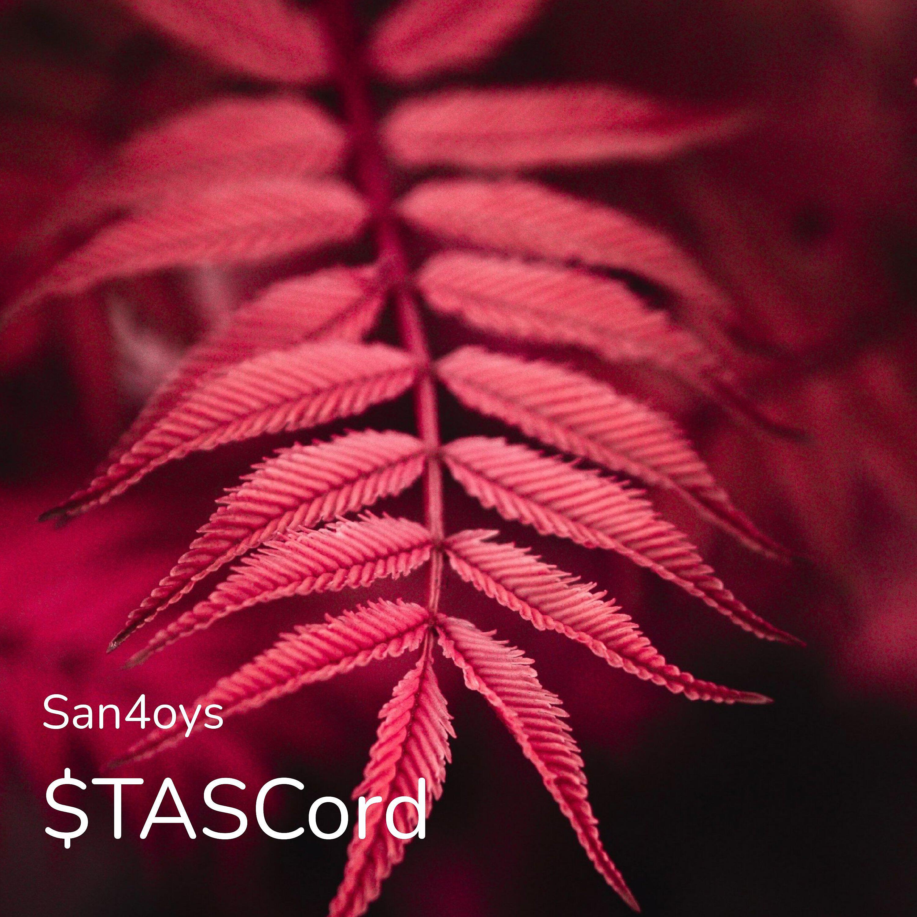 Релиз $TASCord
