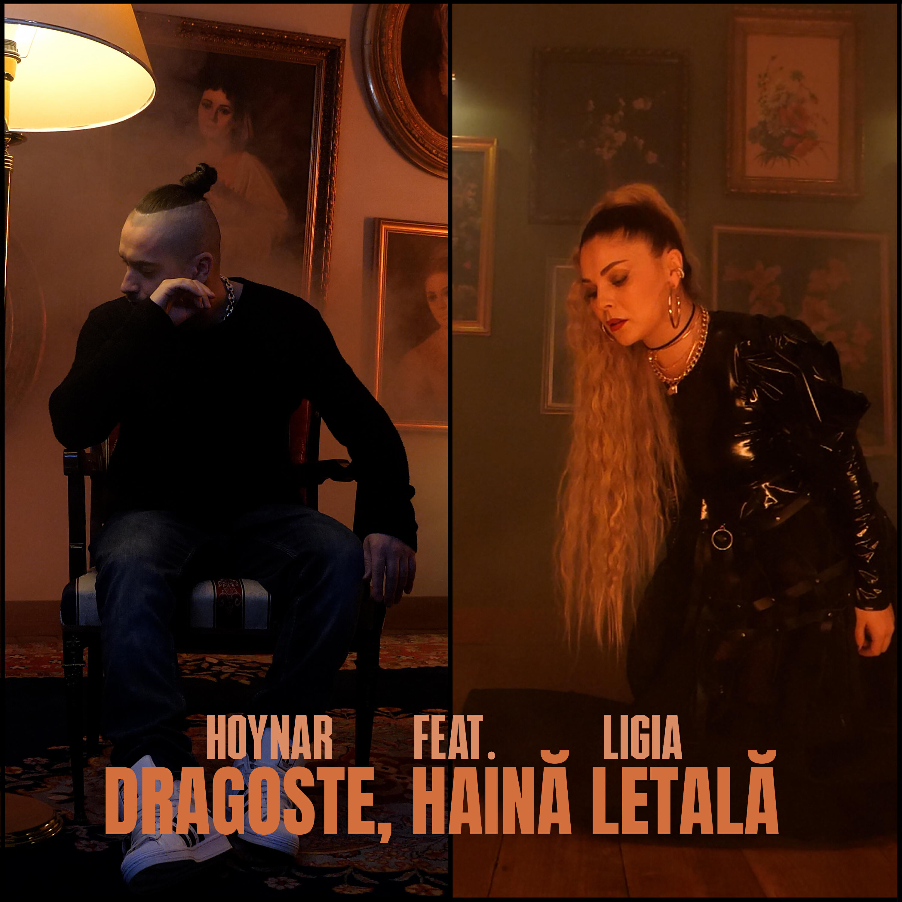 Релиз Dragoste, Haina letala