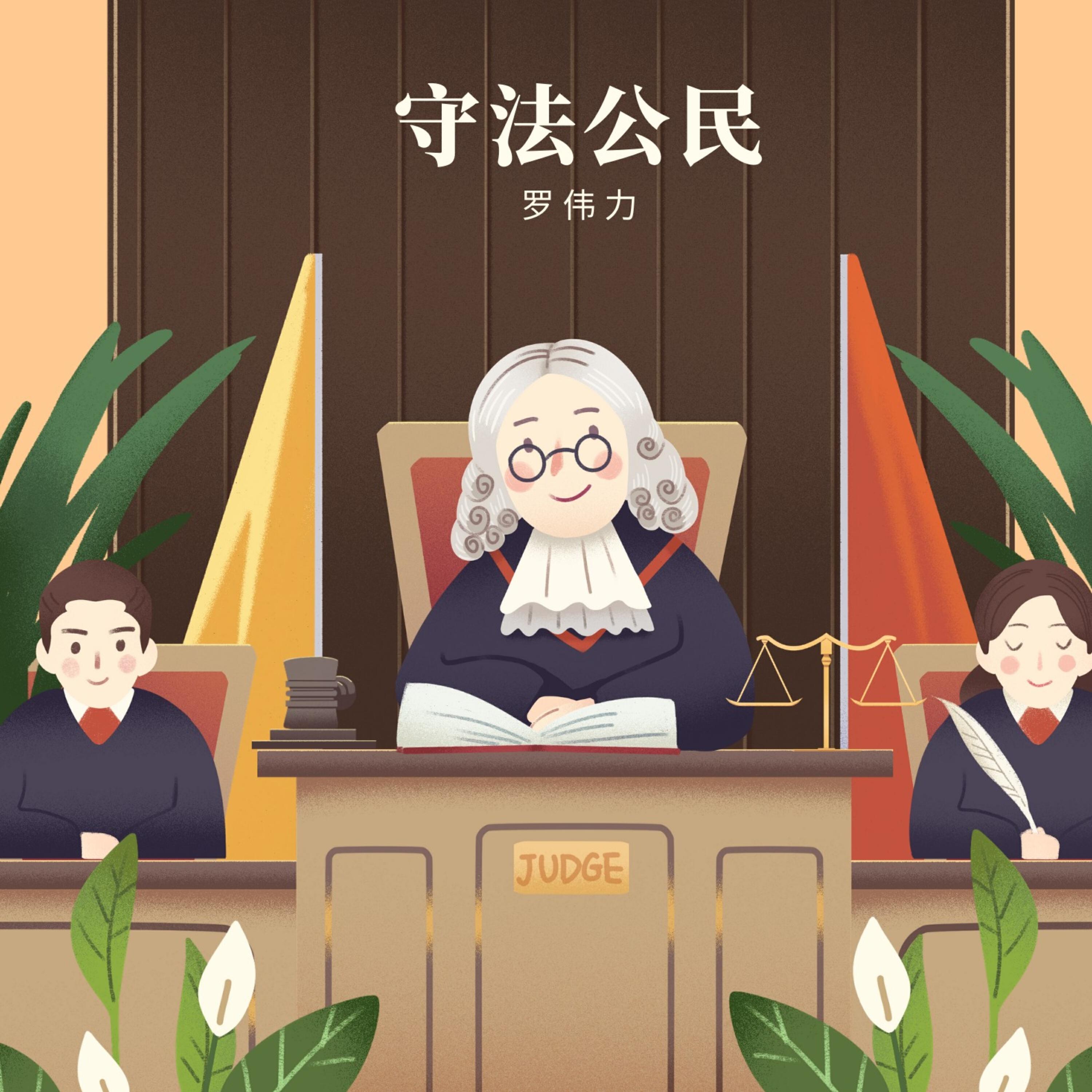 Релиз 守法公民