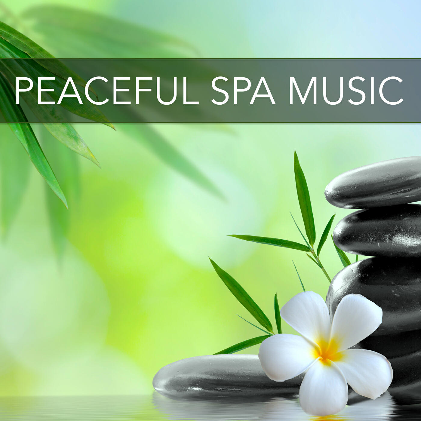 Релиз Peaceful Spa Music – New Age Spiritual Songs for Relaxation and Recreation, Music for Massages, Spa Treatments and Face Mask