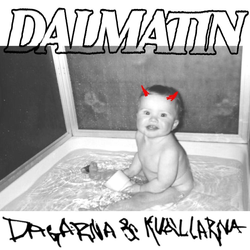 Dalmatin