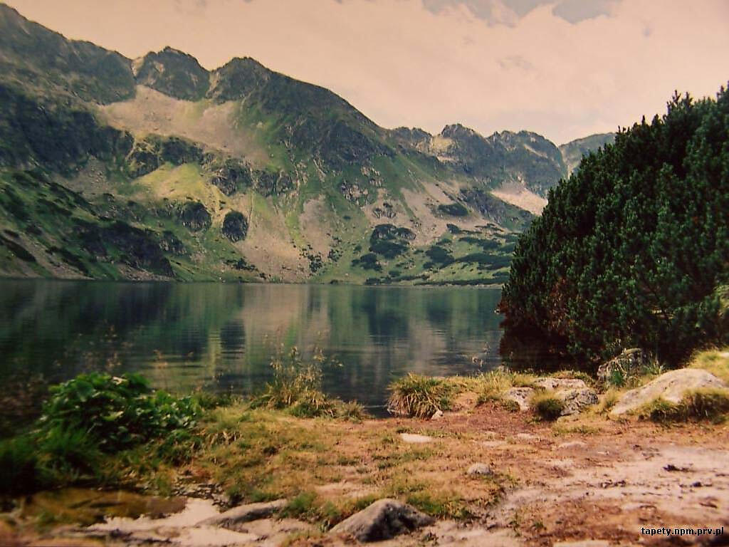 Sounds of Nature