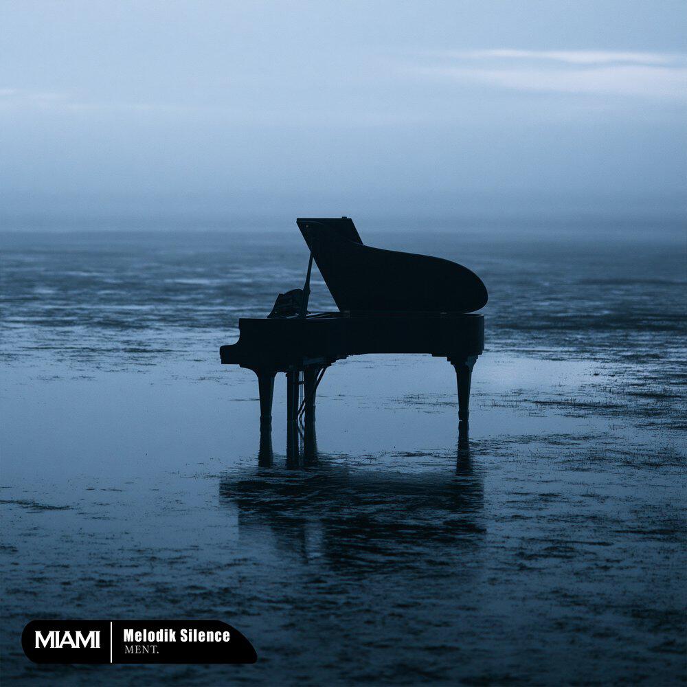 Релиз Melodik Silence