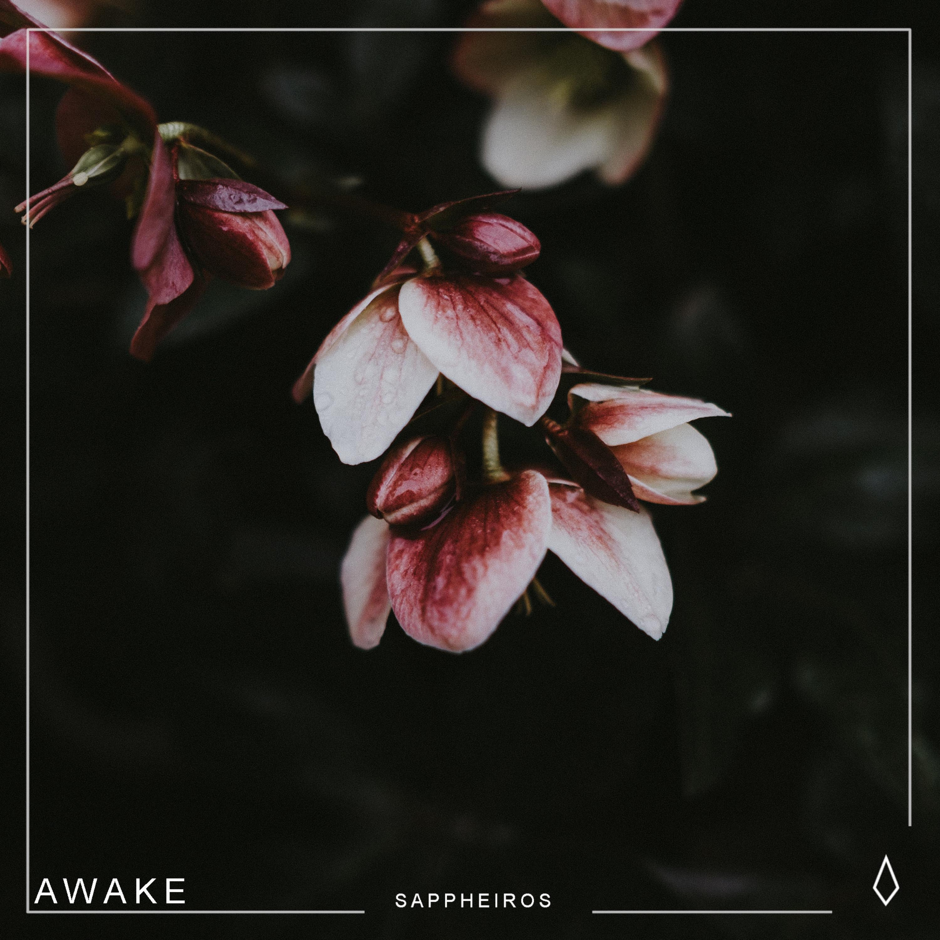 Релиз Awake