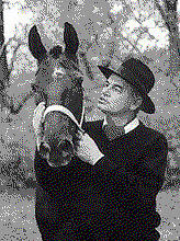 Zvonko Bogdan