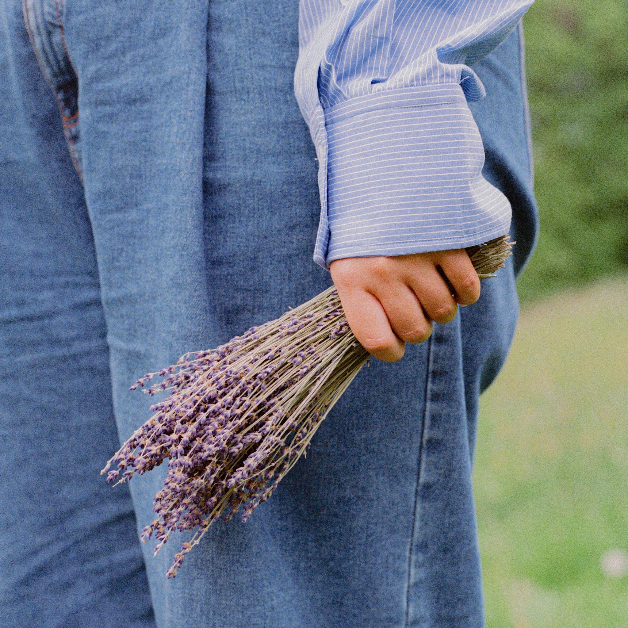Релиз Lavender Hill