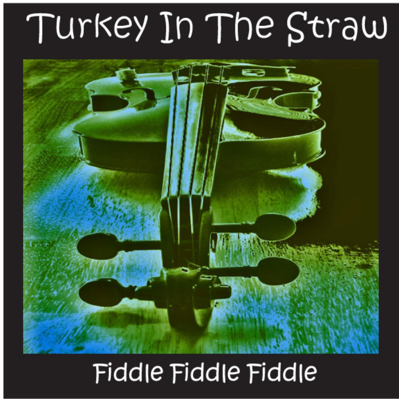 Релиз Turkey in the Straw and Other Country Fiddle Hits