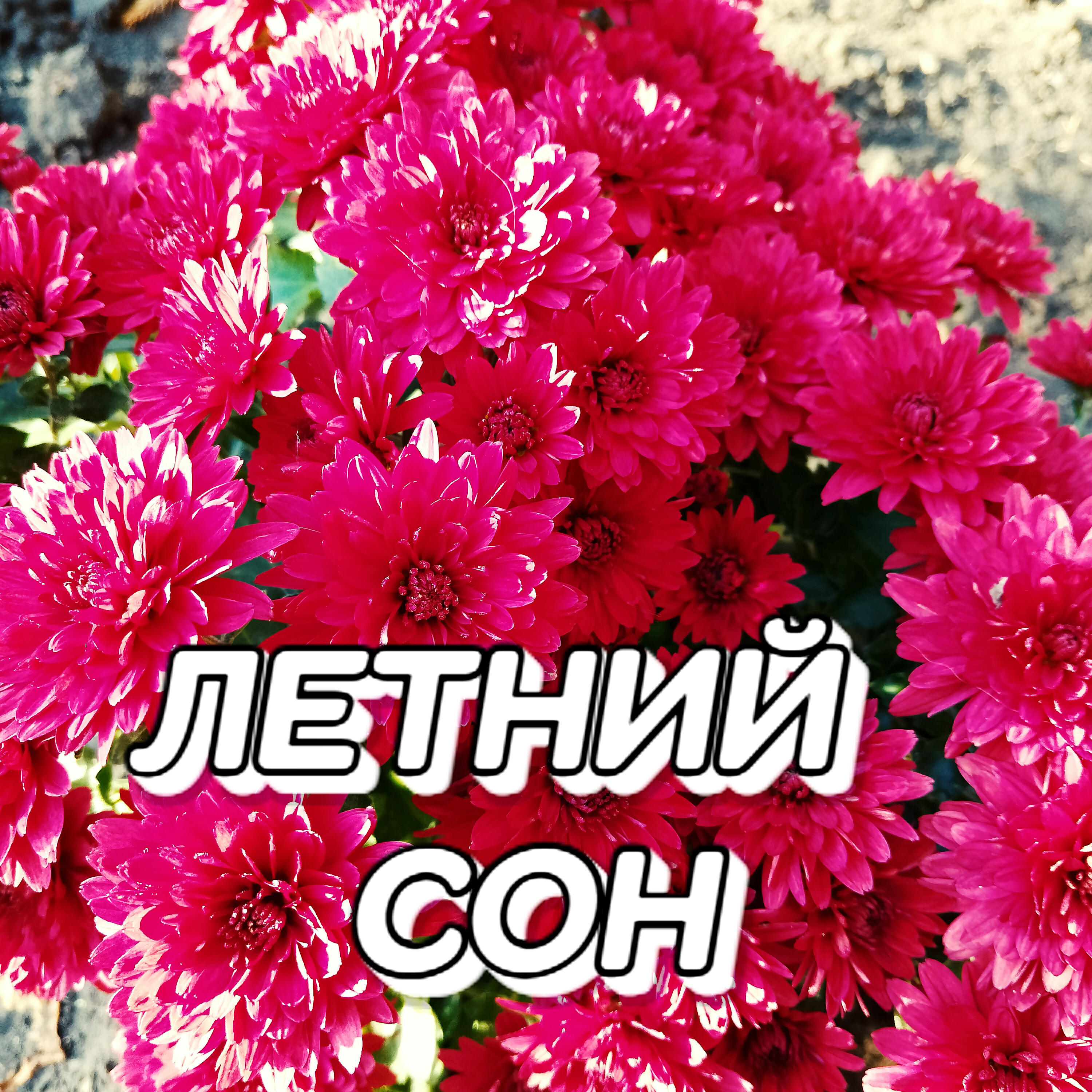 Релиз Летний сон