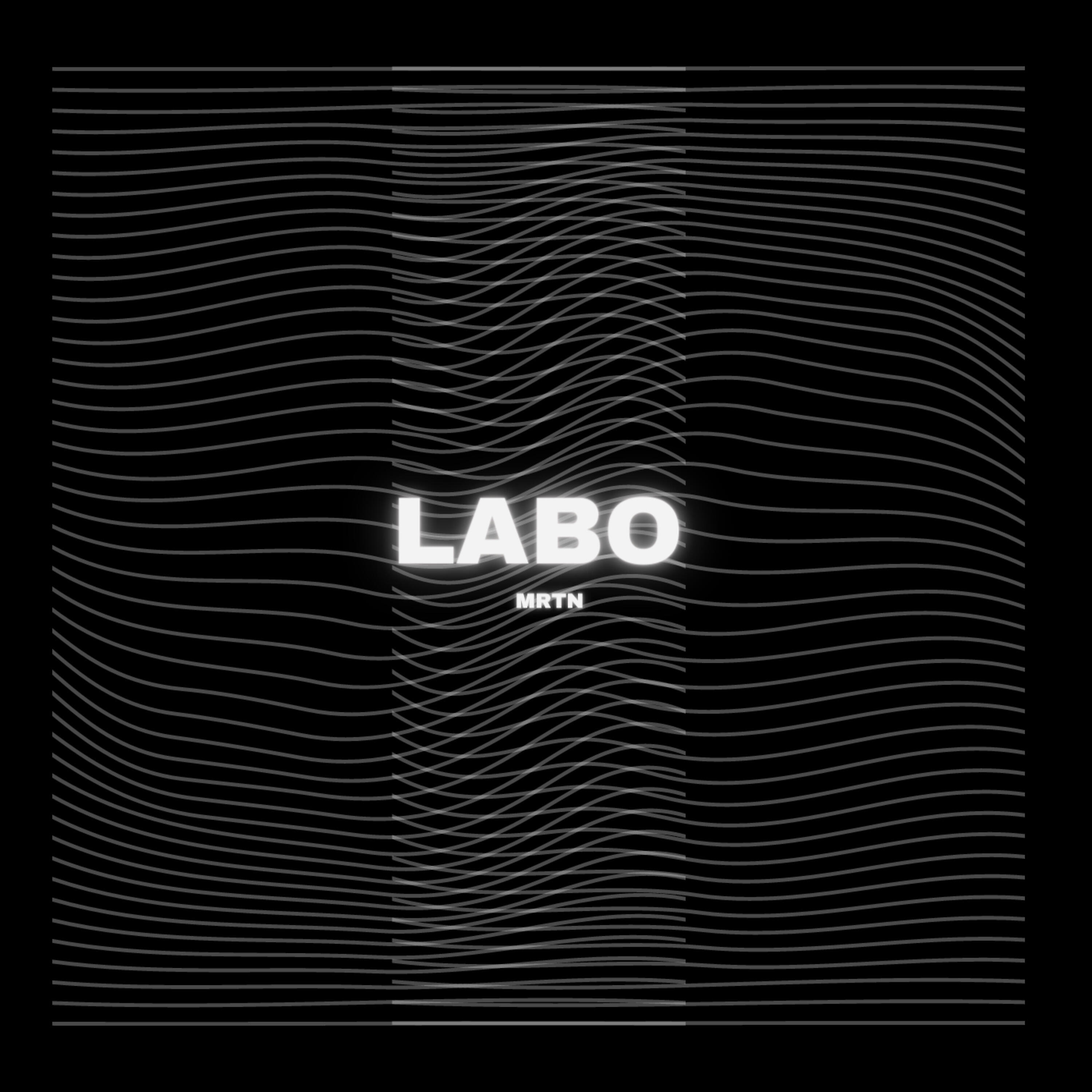 Релиз Labo