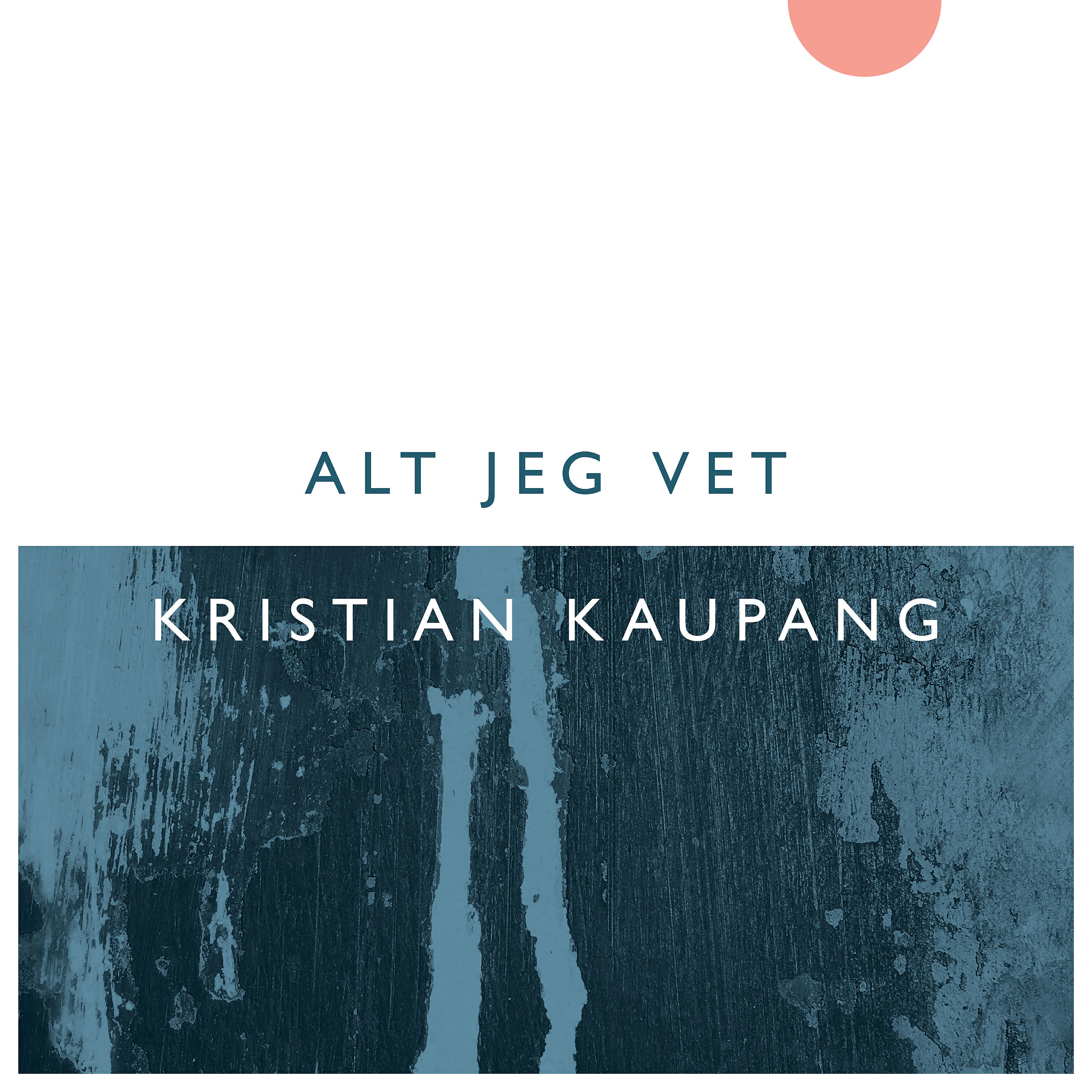 Релиз Alt Jeg Vet
