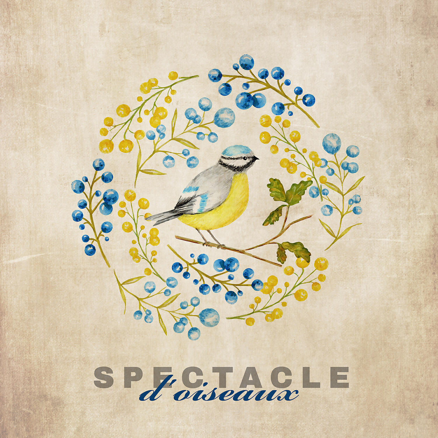 Релиз Spectacle d'oiseaux: Musique méditative, Apaisante, Rafraîchissante