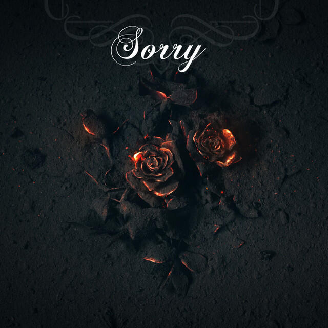 Релиз Sorry