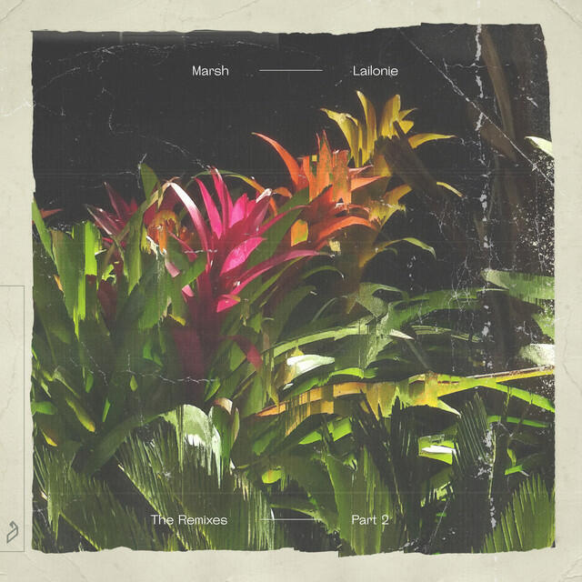 Релиз Lailonie (The Remixes: Part 2)