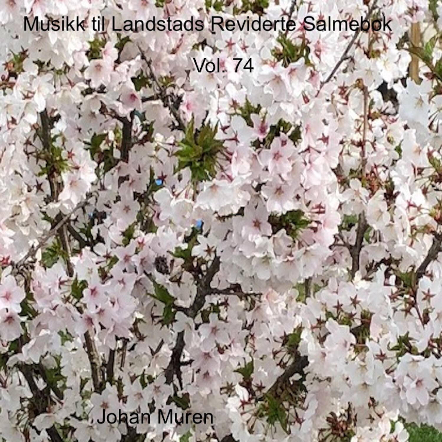 Релиз Syng til Landstads Reviderte Kirkesalmebok Vol. 74