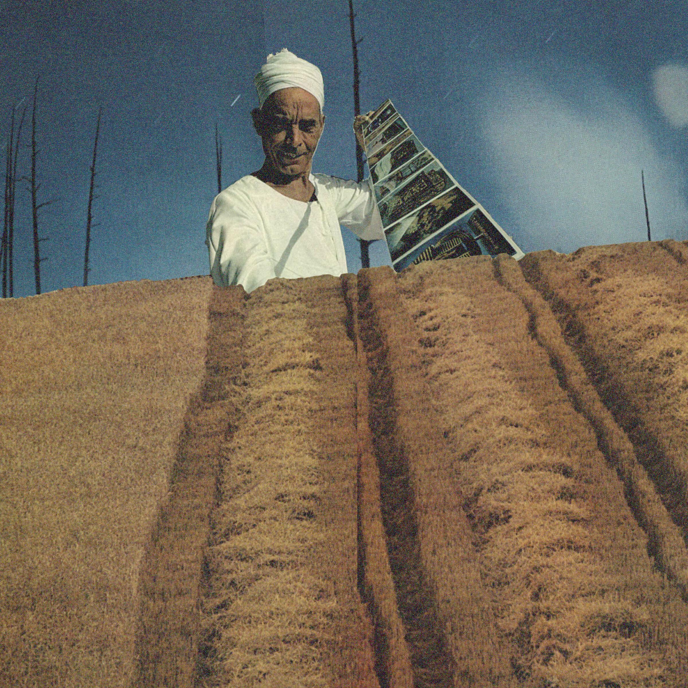 Релиз hammock
