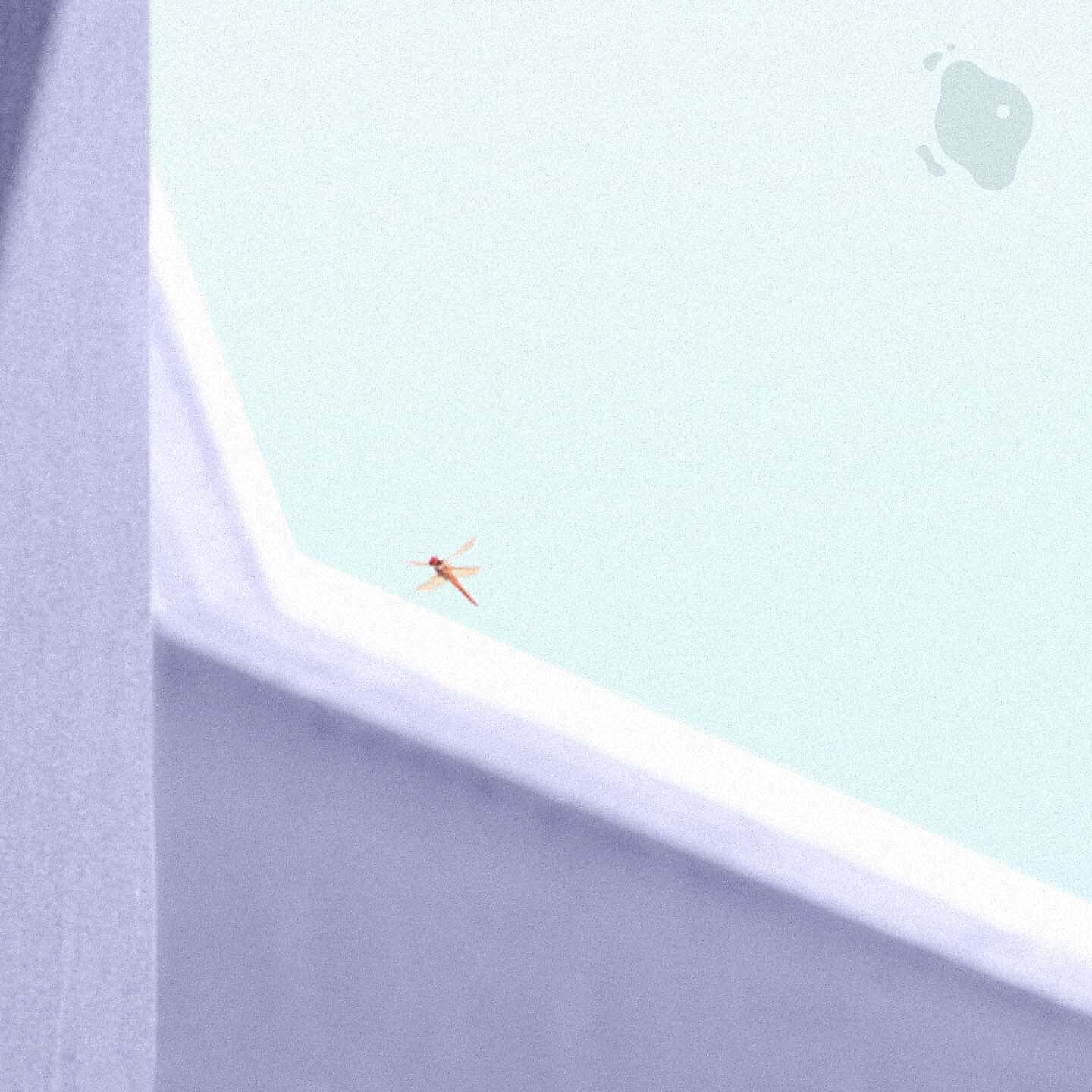 Релиз Libélula