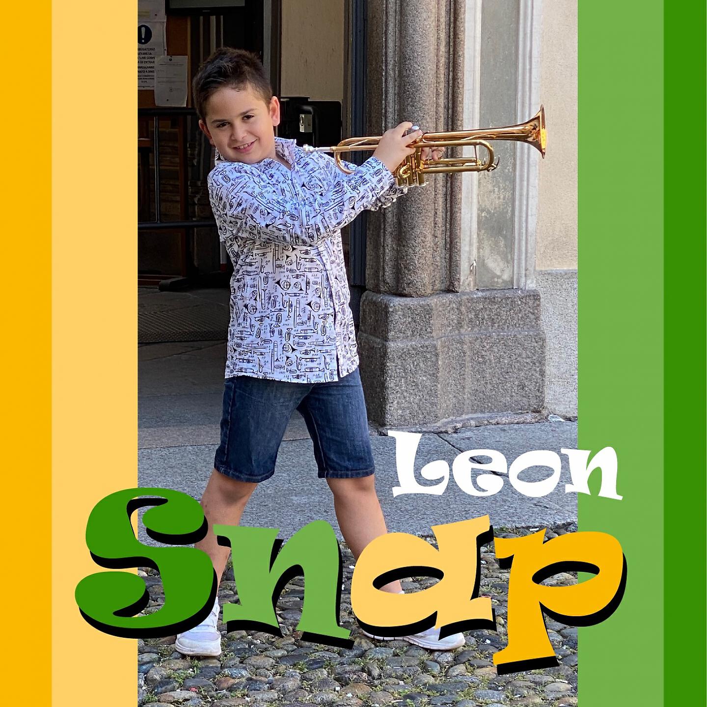 Постер альбома Snap
