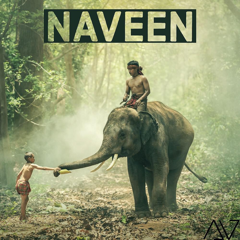 Релиз Naveen