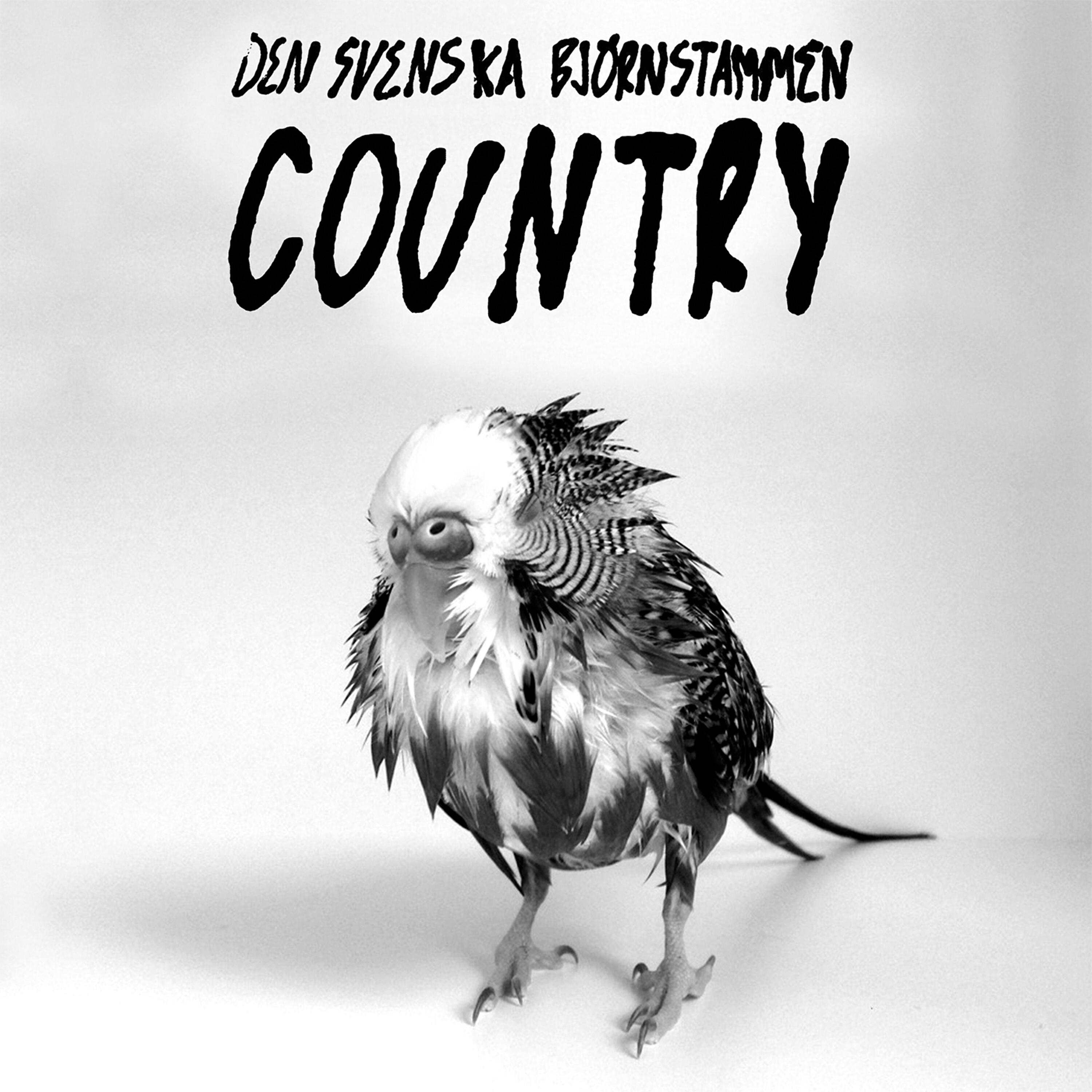 Релиз Country