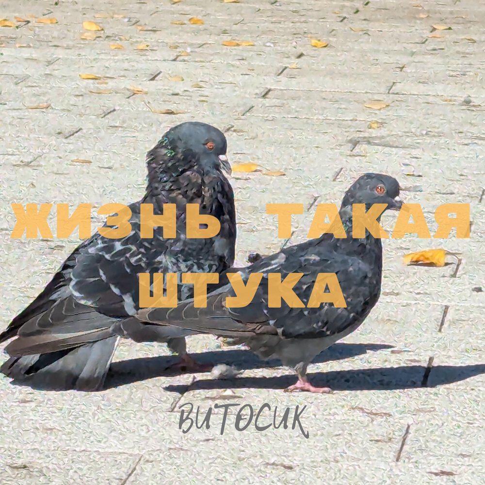 Релиз Жизнь такая штука