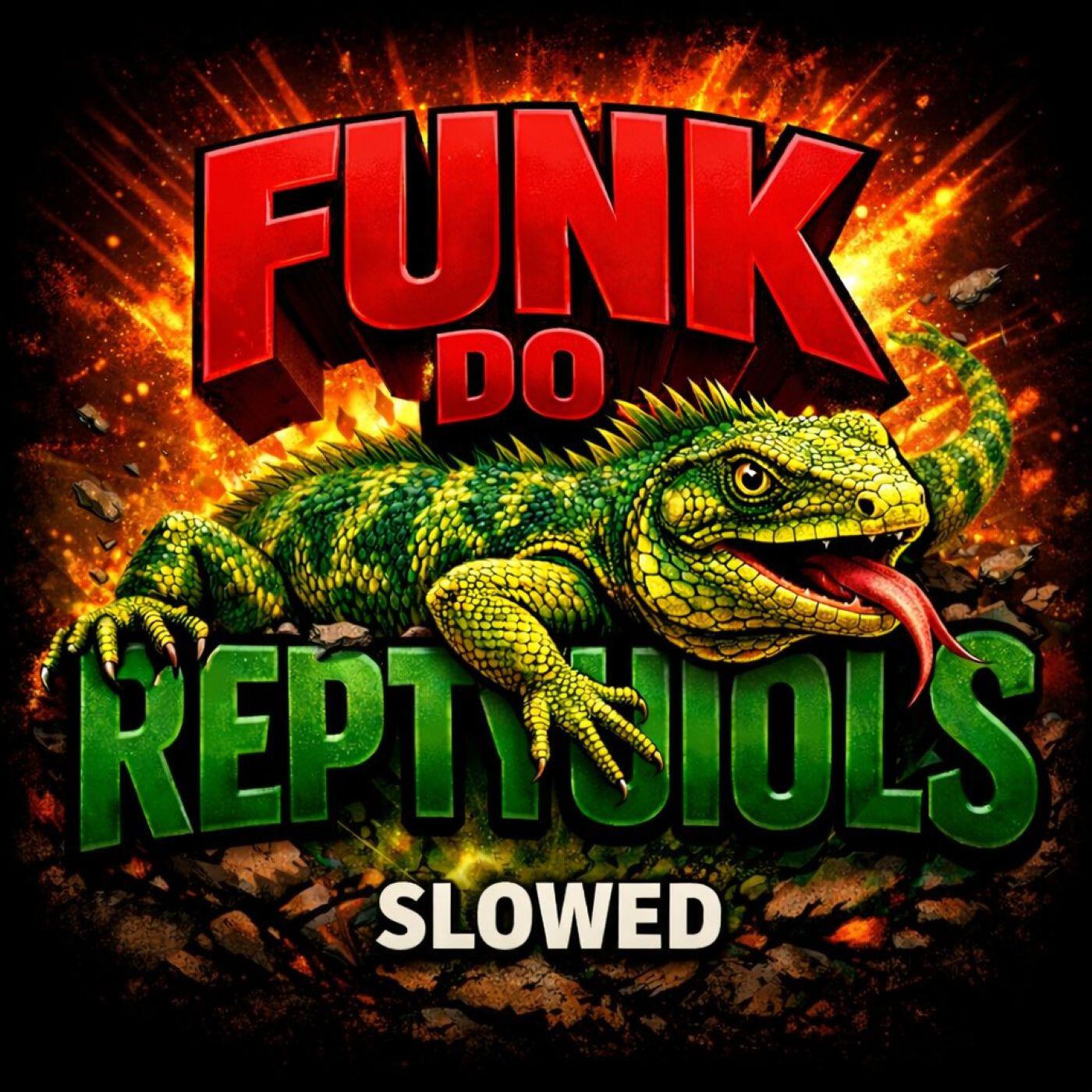 Релиз FUNK DO REPTYUIOLS SLOWED