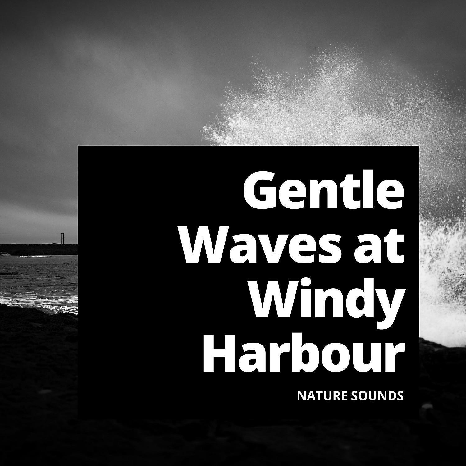 Waves Sounds