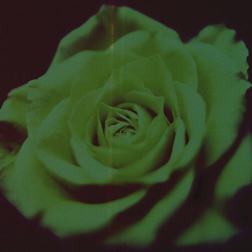 Релиз Dose