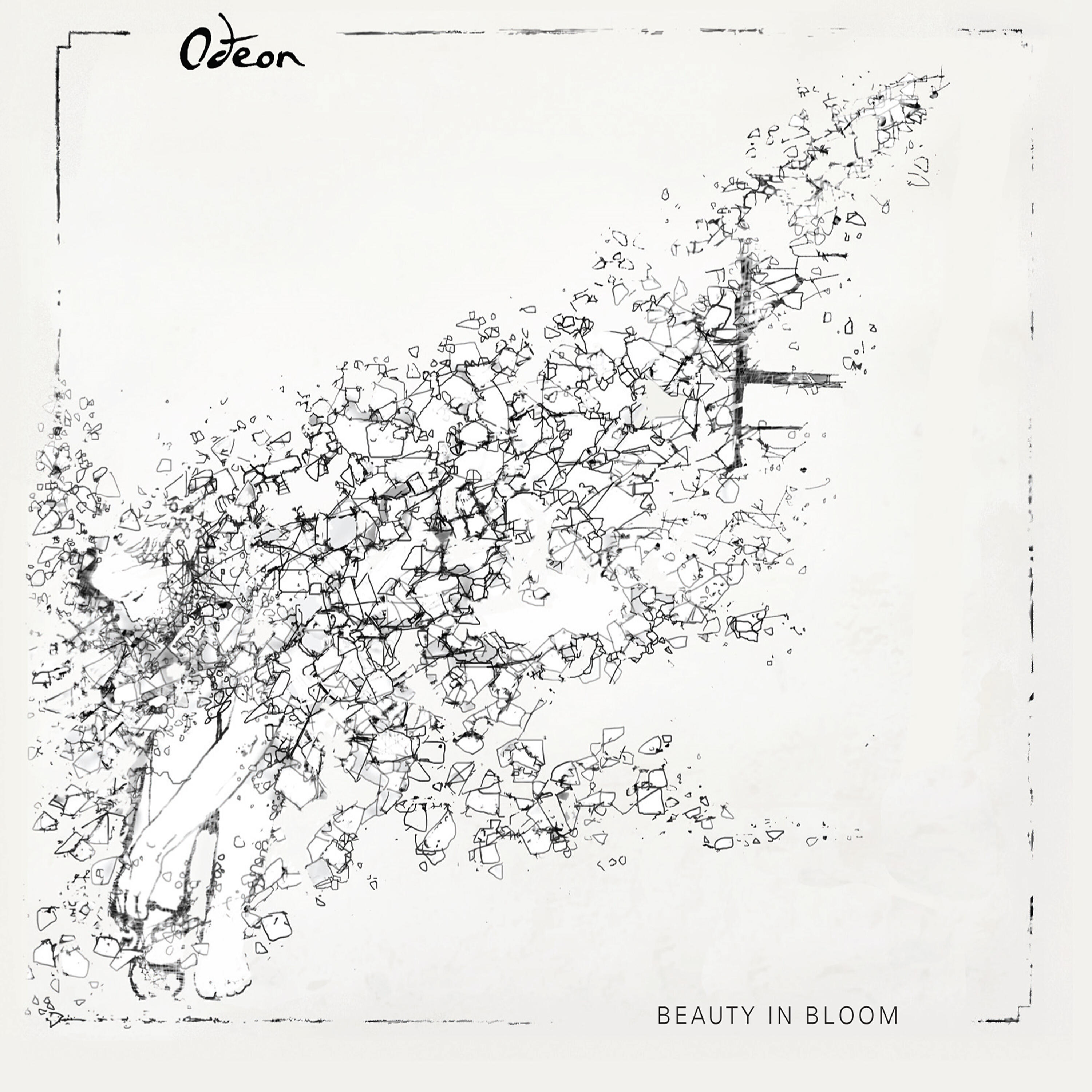 Релиз Beauty in Bloom