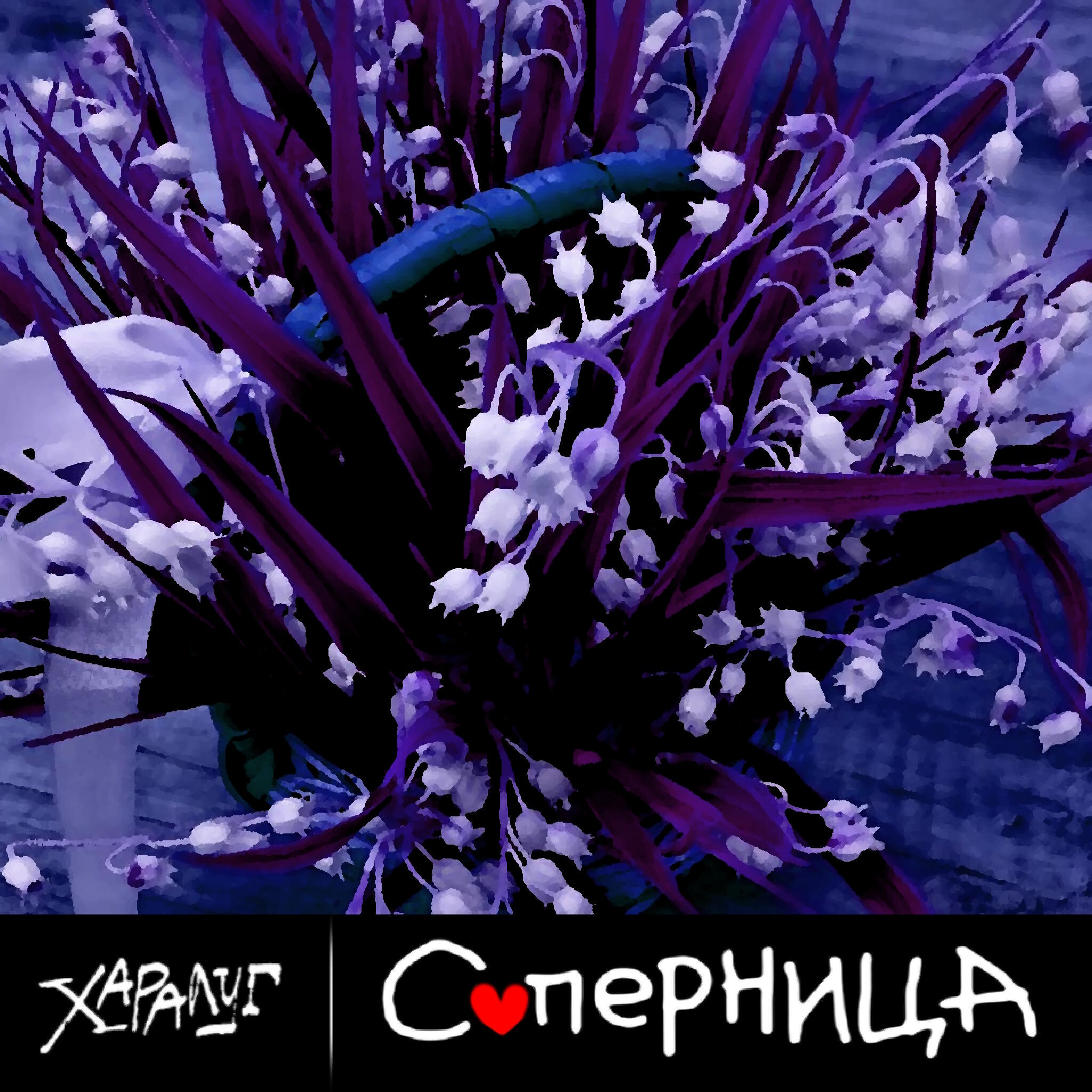 Релиз Соперница