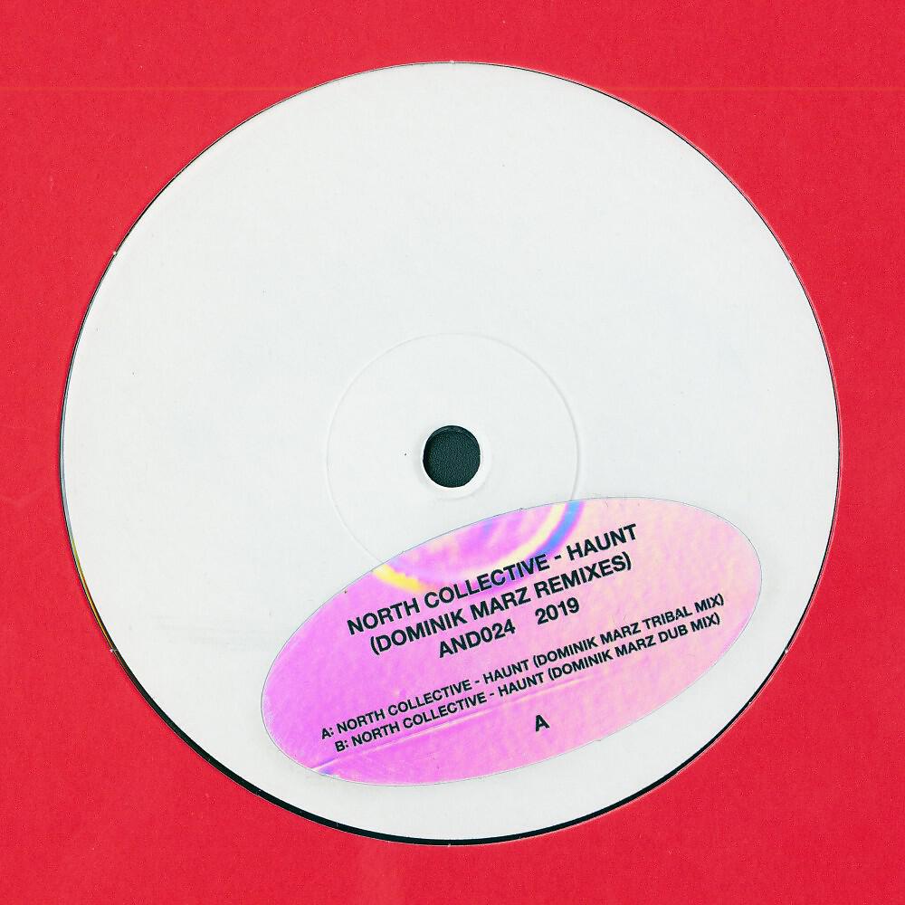 Релиз Haunt (Dominik Marz Remixes)