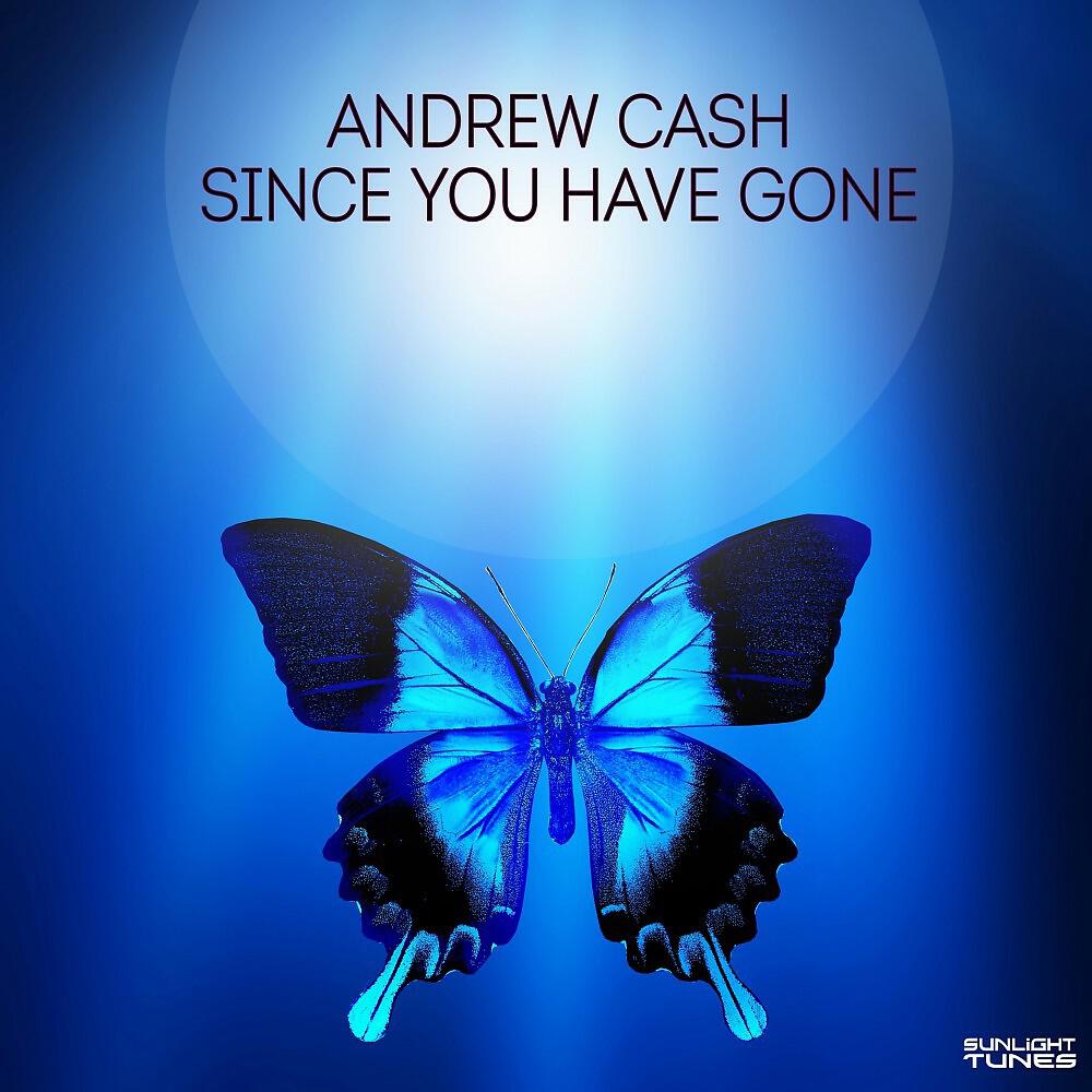Релиз Since You Have Gone