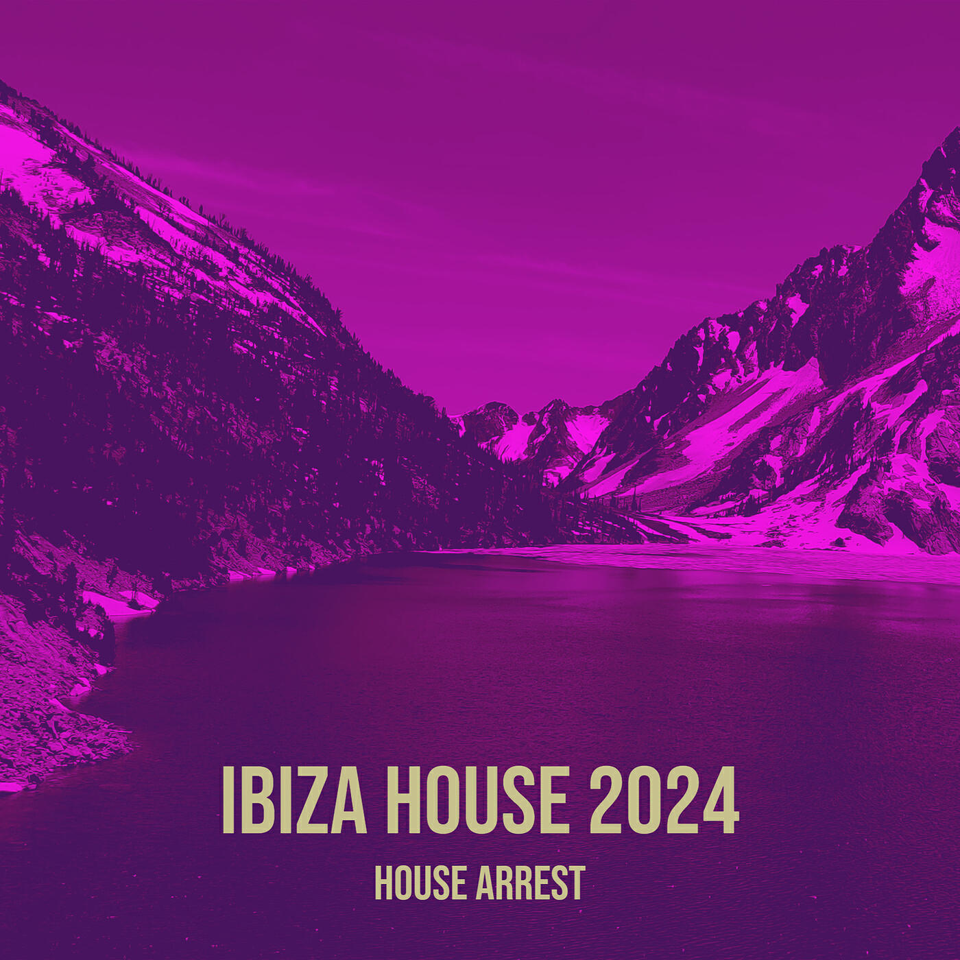 Релиз Ibiza House 2024