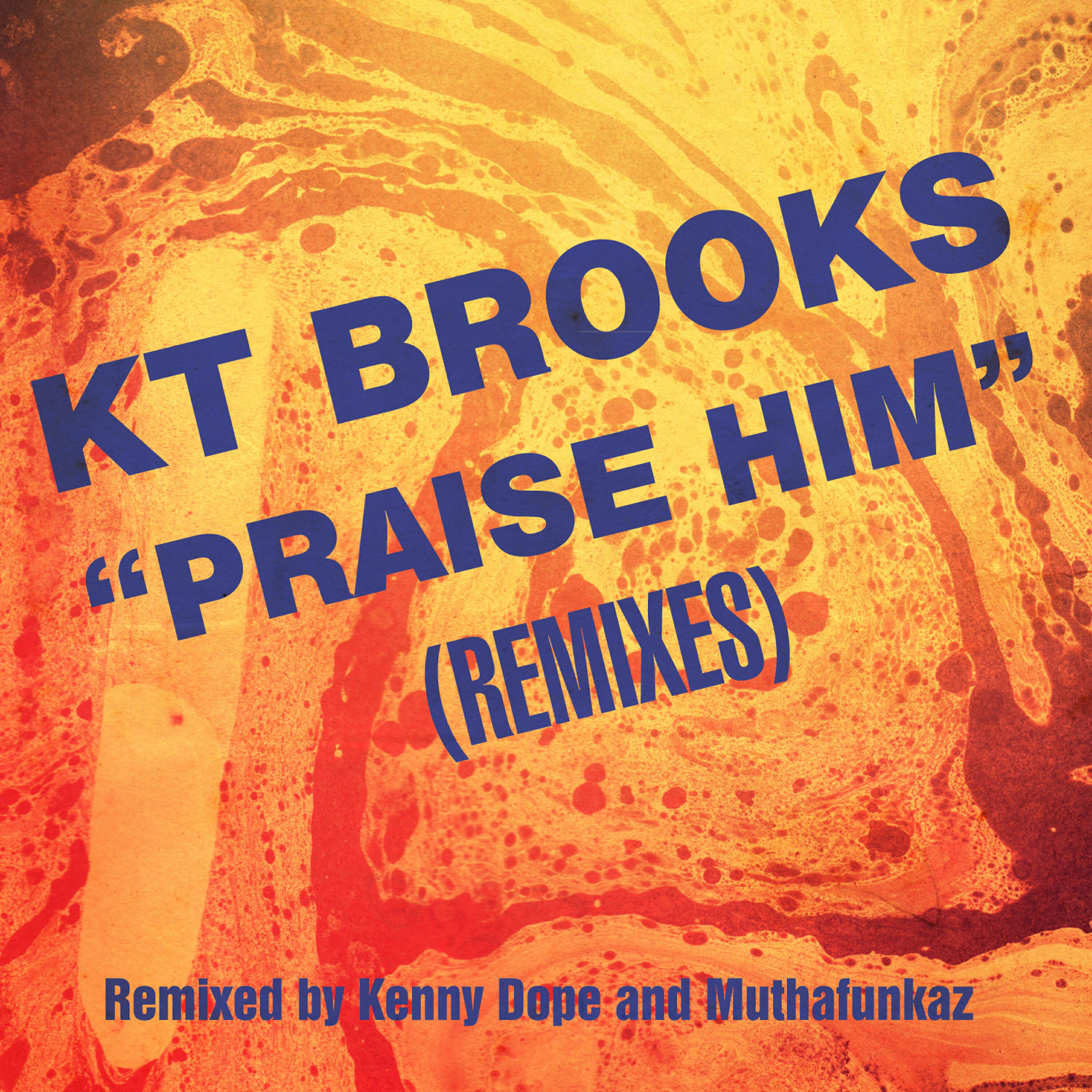 Релиз Praise Him (Remixes)