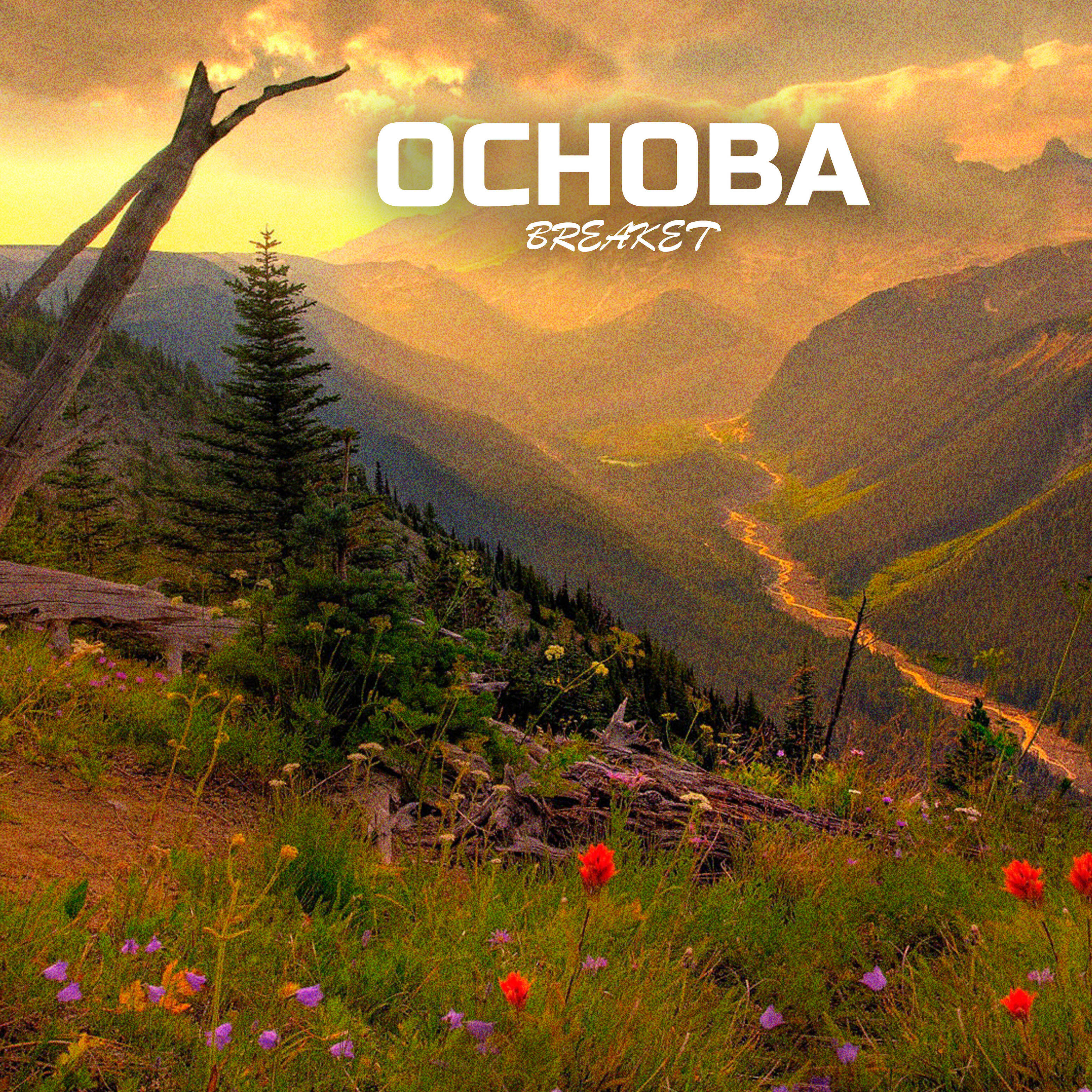 Релиз Основа