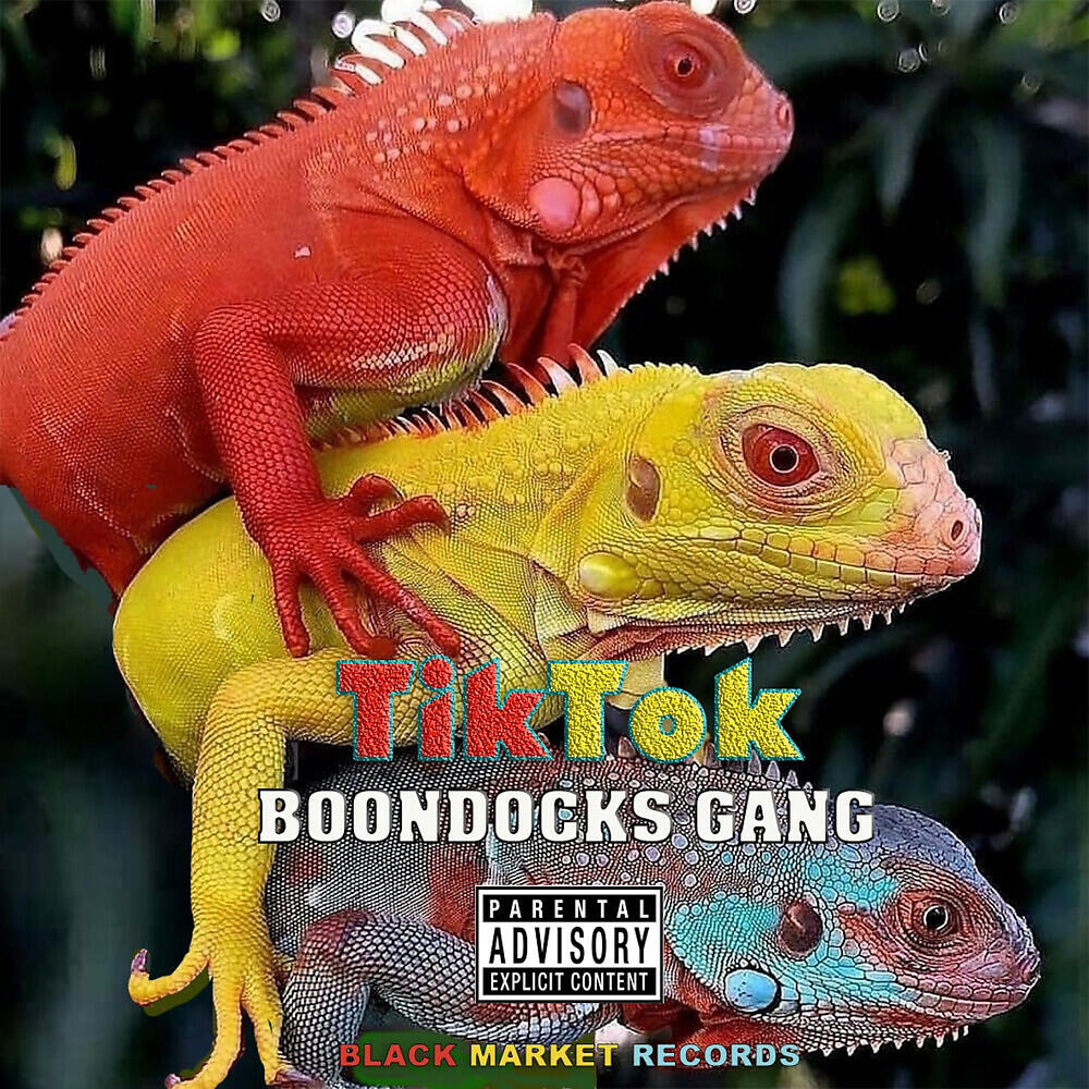 Релиз Tik Tok