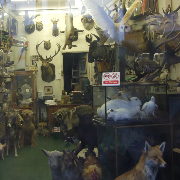 Релиз various artists : run over by an elevator