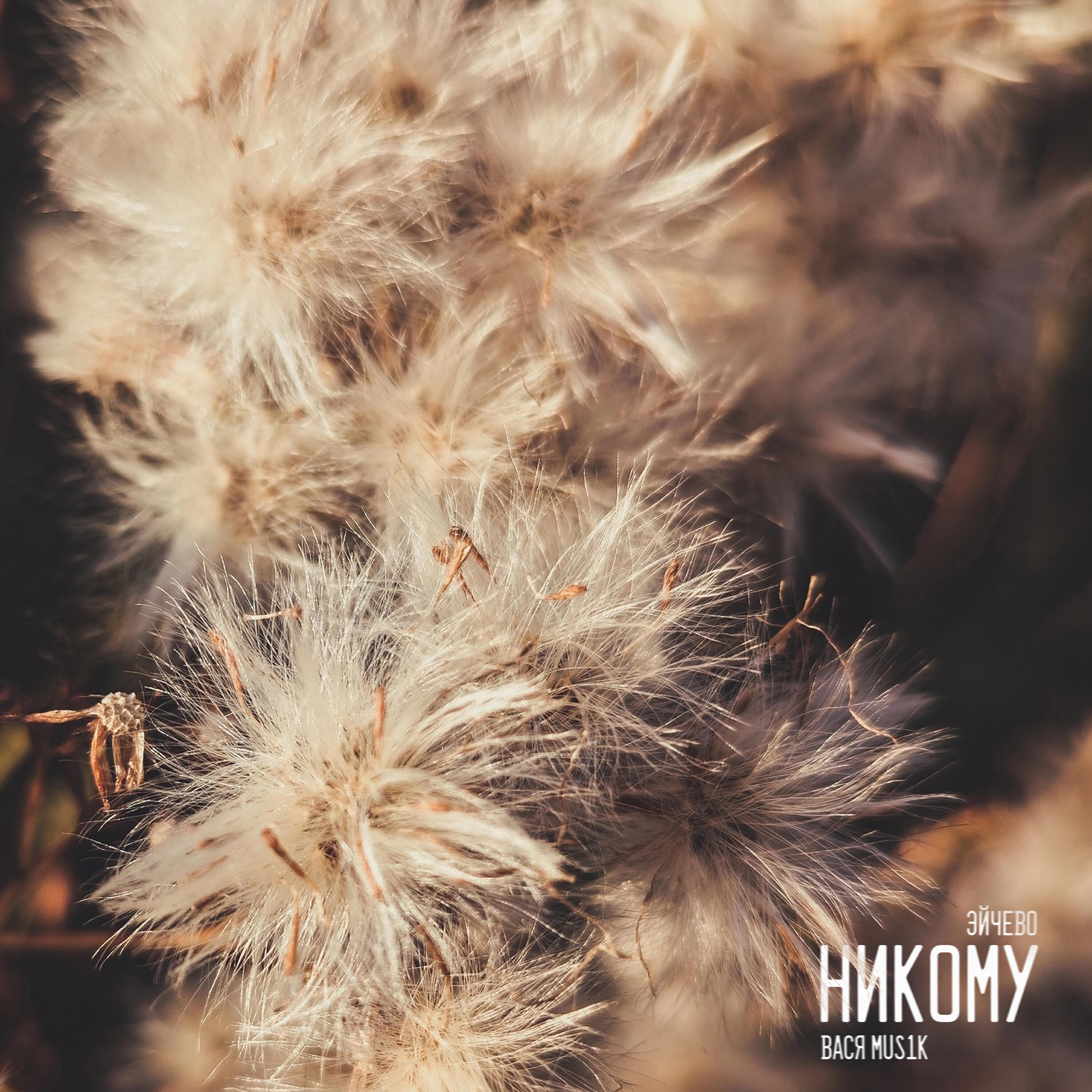 Релиз Никому