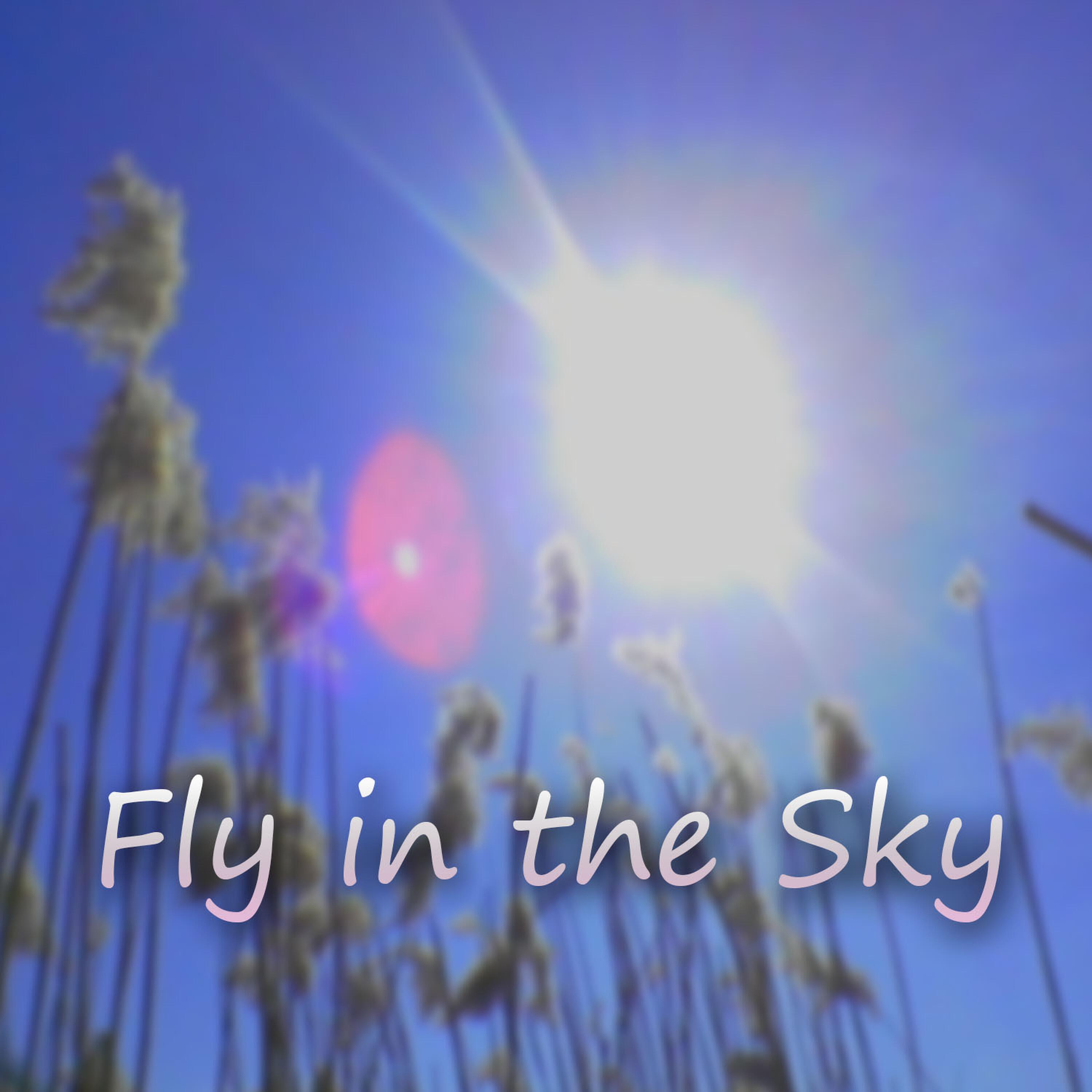 Релиз Fly in the Sky