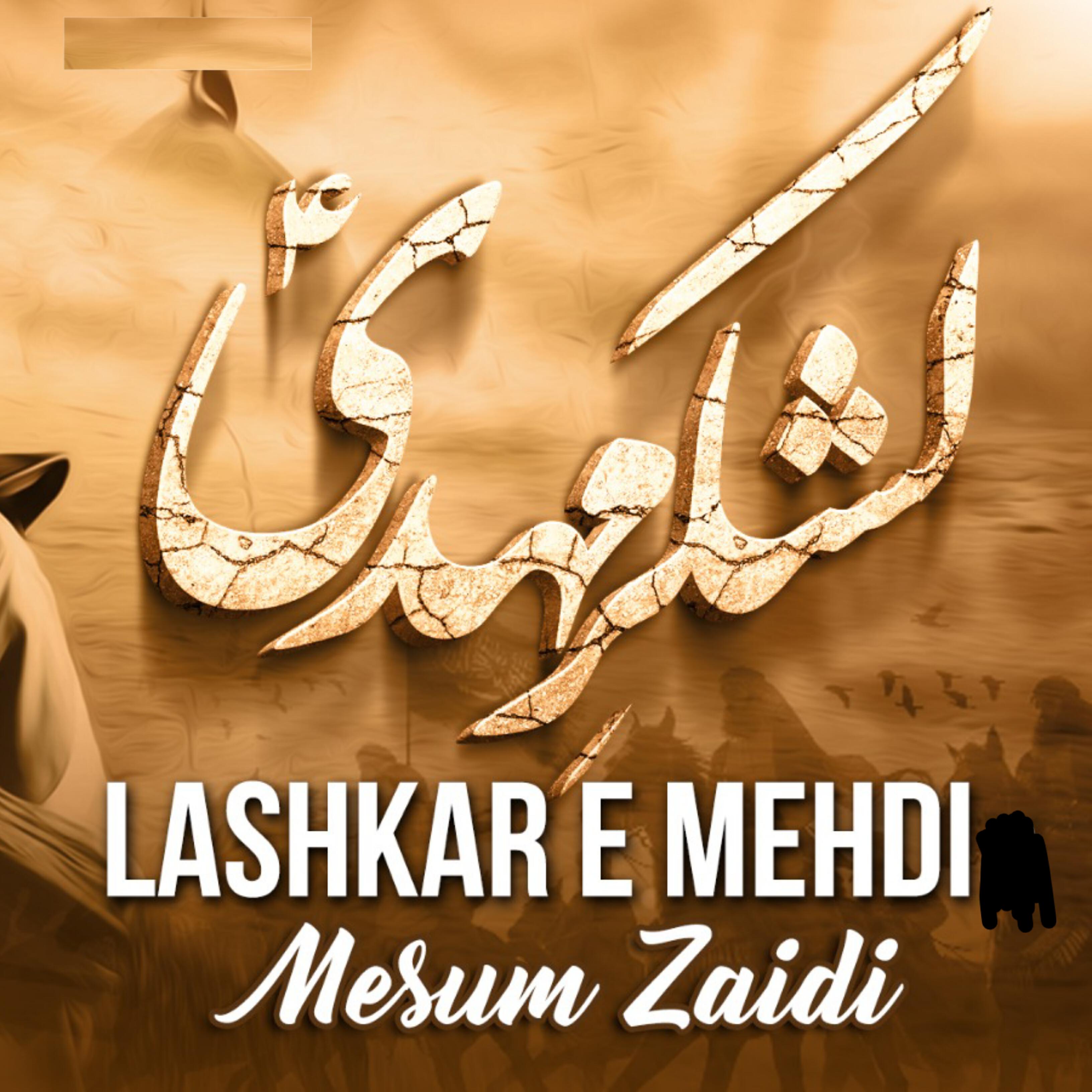 Mesum Zaidi
