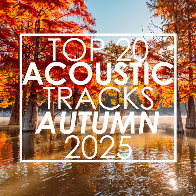 Релиз Top 20 Acoustic Tracks Autumn 2025 (Instrumental)
