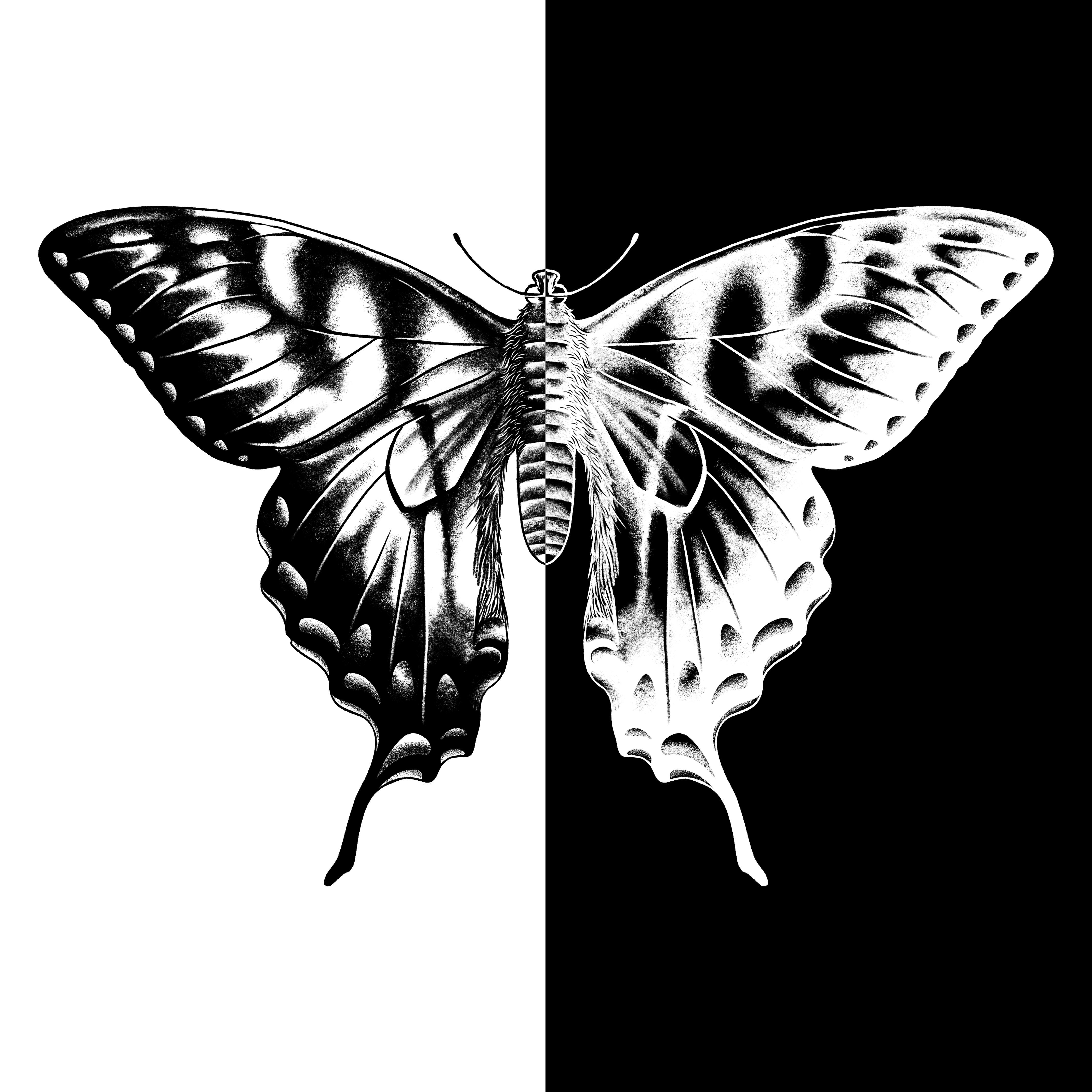 Jah-Femi, Bella - Free