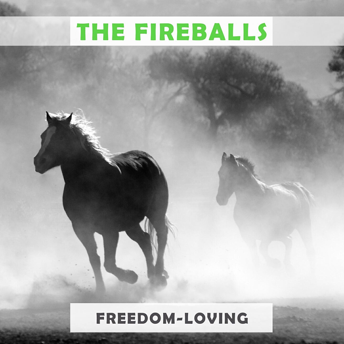 Релиз Freedom Loving