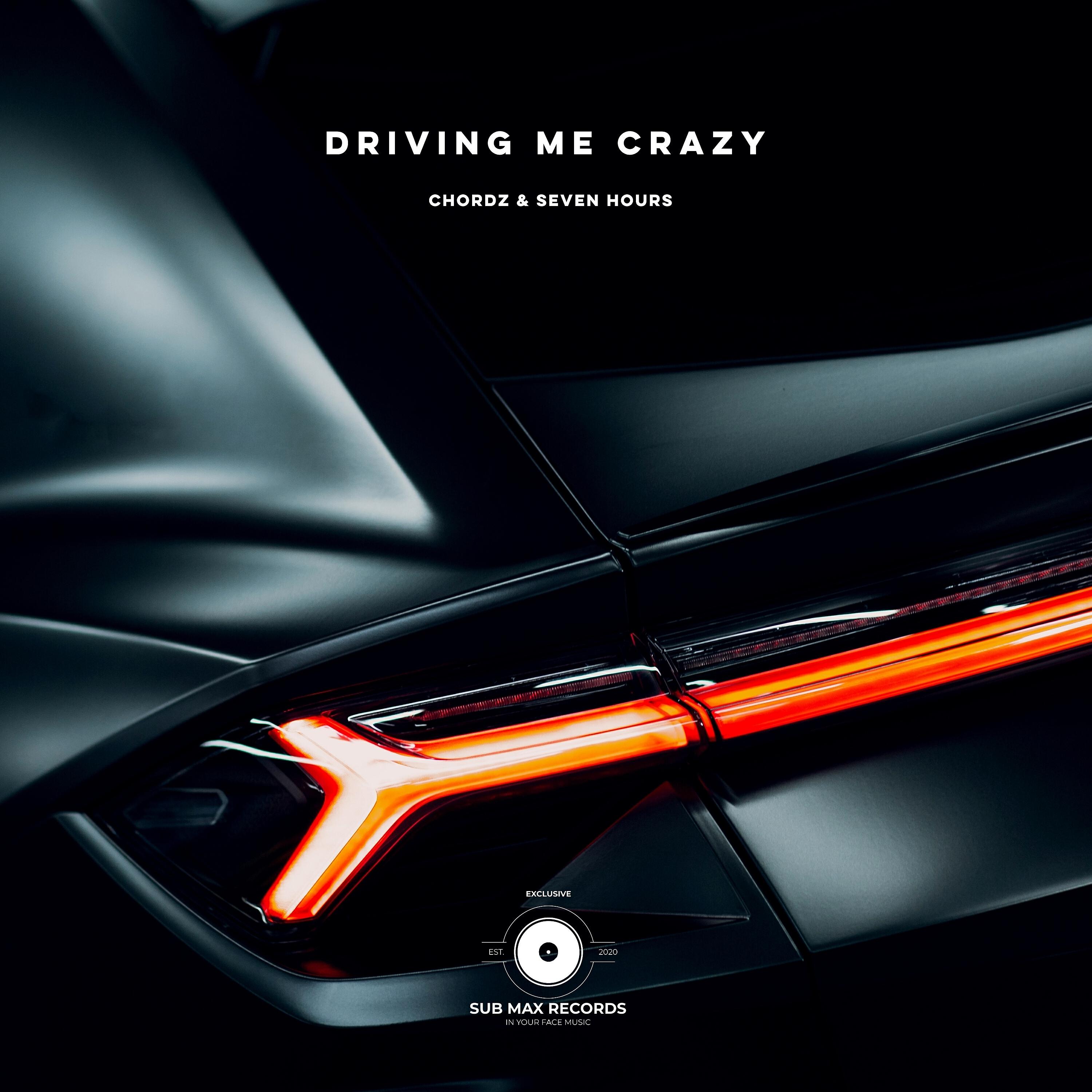 Релиз Driving Me Crazy