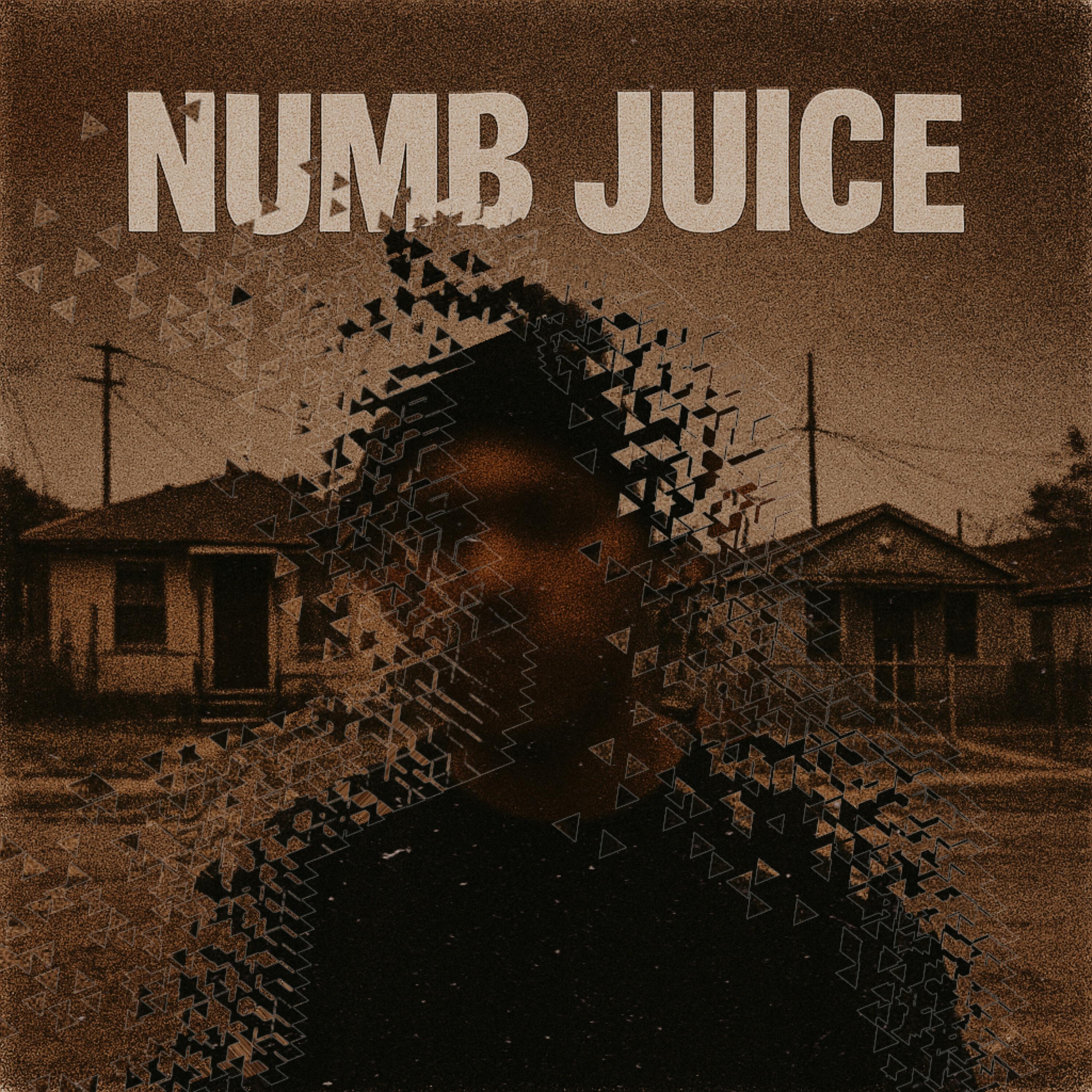 Релиз NUMB JUICE