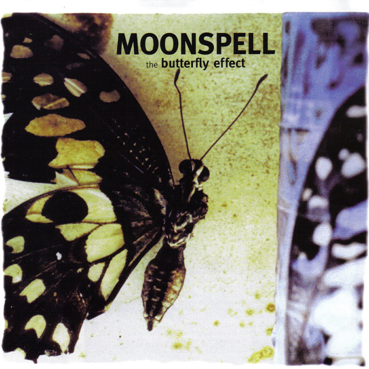 Релиз The Butterfly Effect