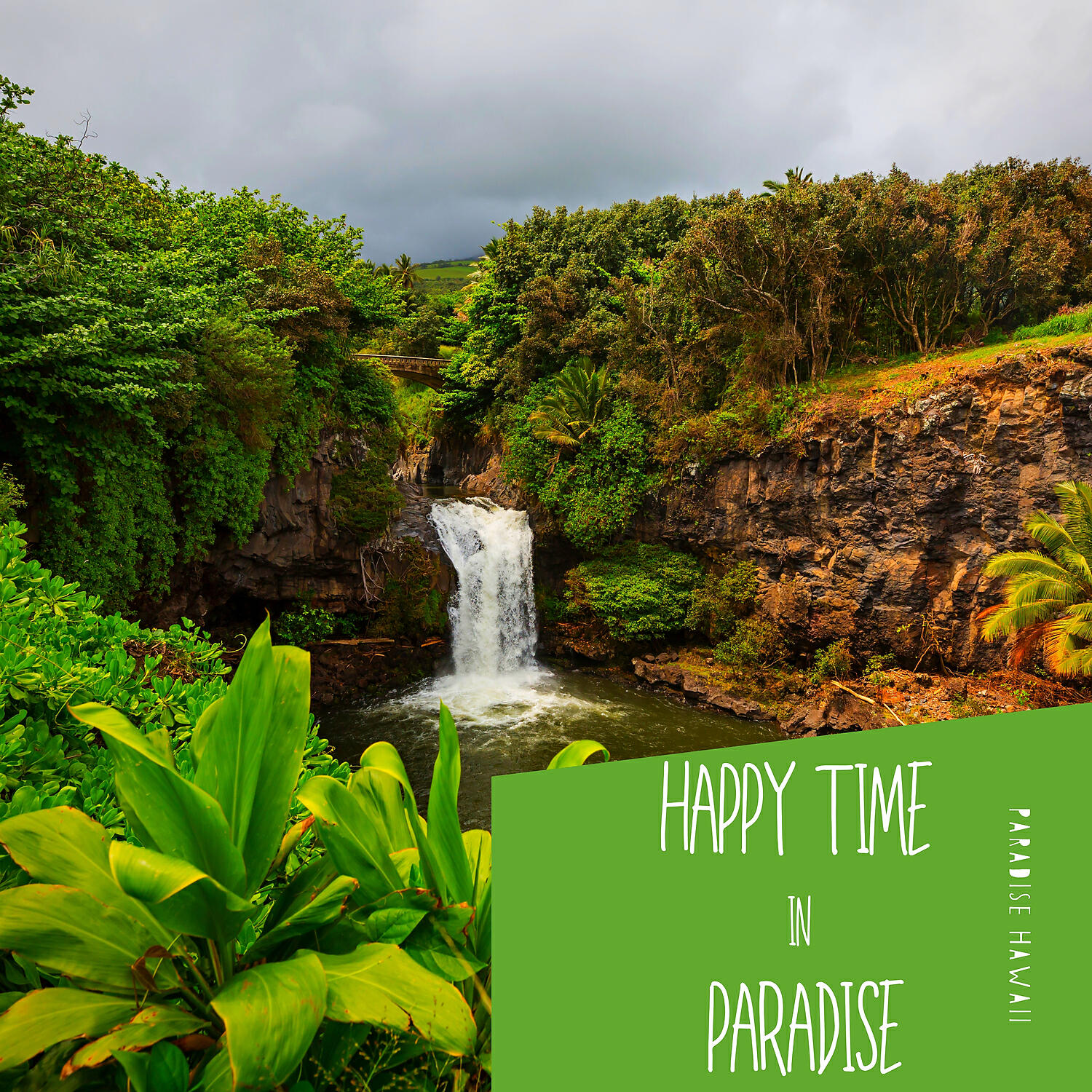 Релиз Happy Time in Paradise