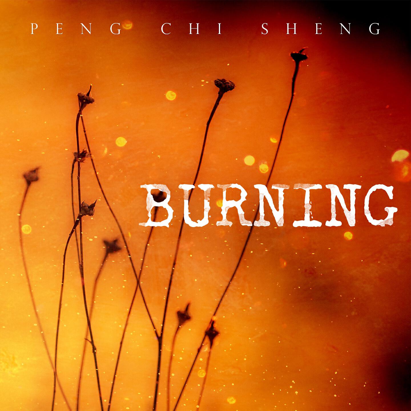 Релиз Burning