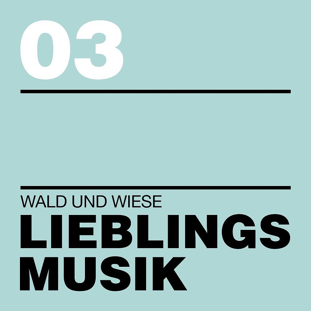 Релиз Lieblingsmusik 03