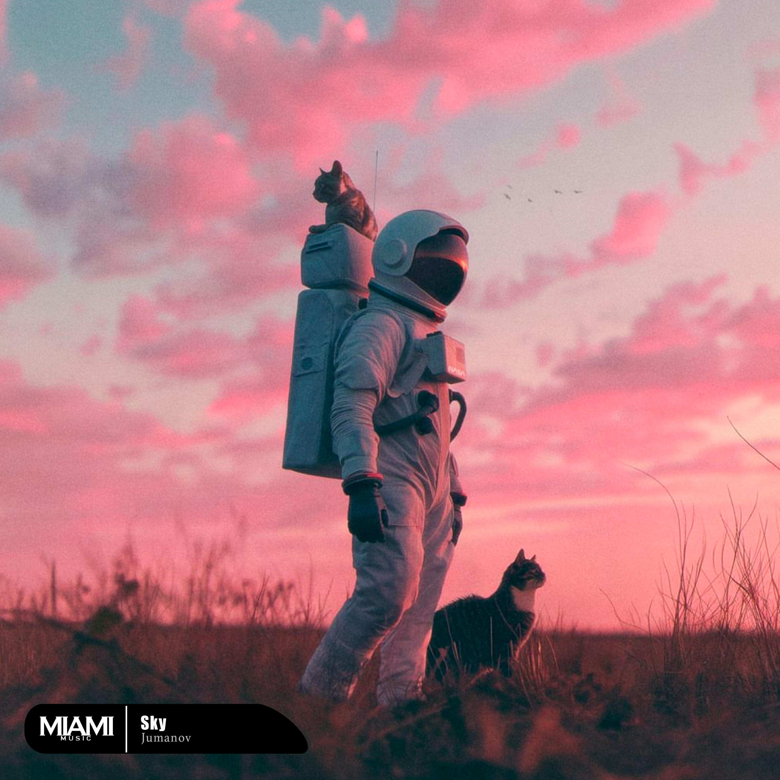 Релиз Sky